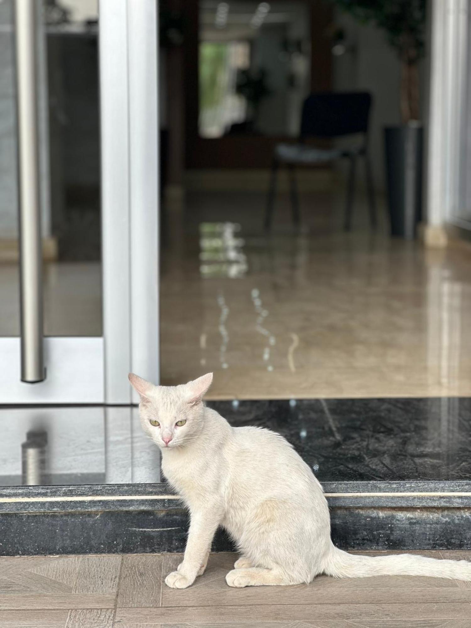 Luxe Appartement Berkane Ngoại thất bức ảnh